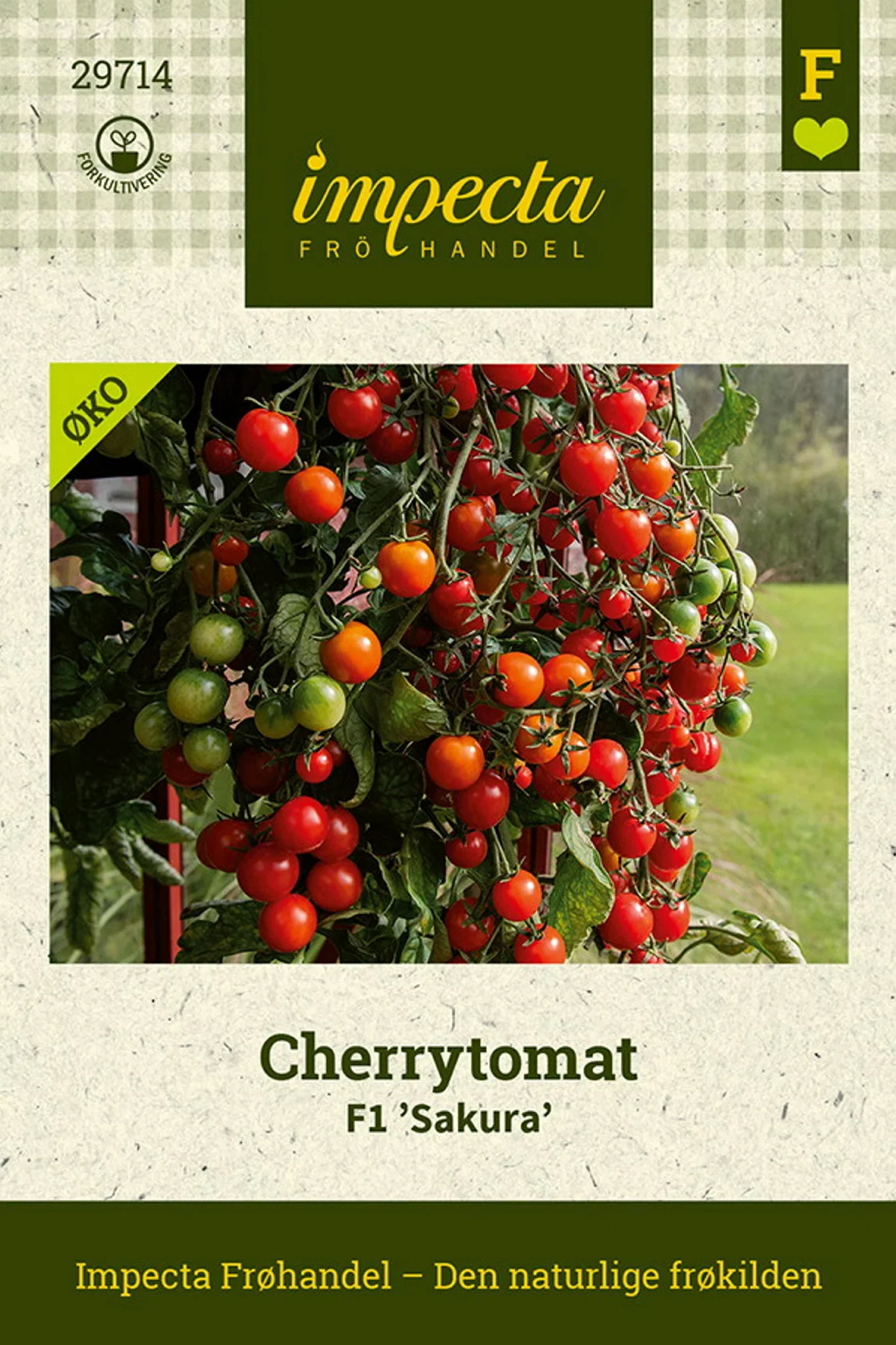 Solanum lycopersicum F1 'Sakura' Cherrytomat F1 'Sakura'