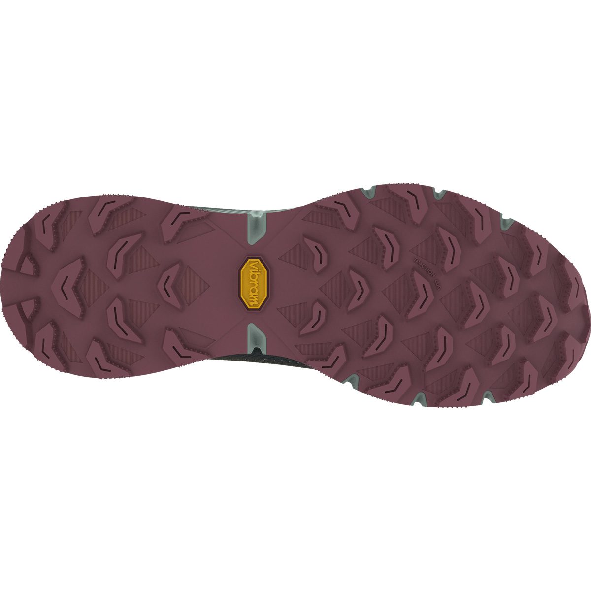 Dynafit Ultra 100 GORE-TEX® Trailrunningschuhe Damen lichen