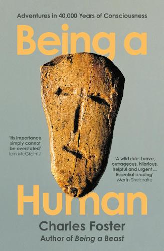 Being a Human: Adventures in 40,000 Years of Consciousness (Paperback)