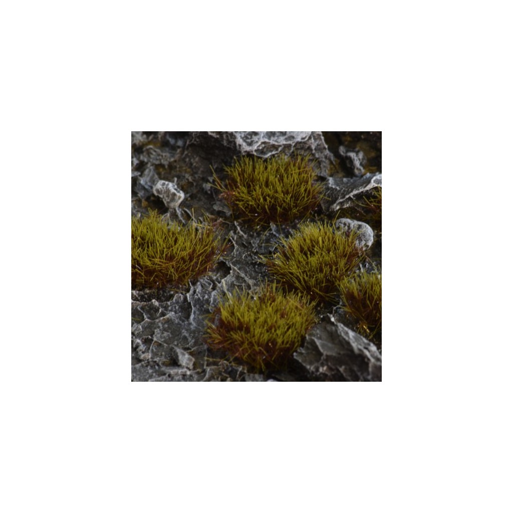 Swamp - Wild XL - 8mm