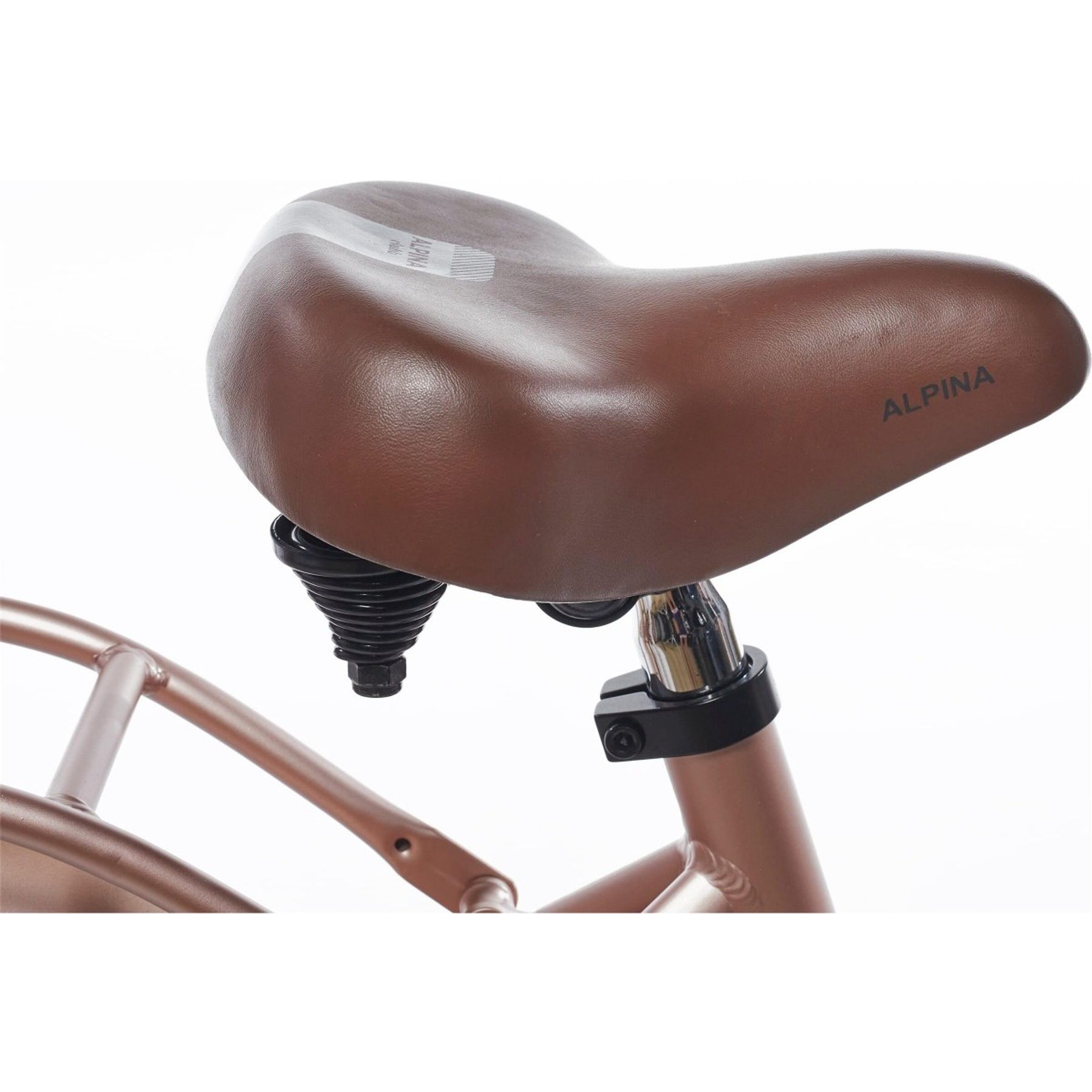 Alpina Clubb 20 inch Meisjesfiets 2026