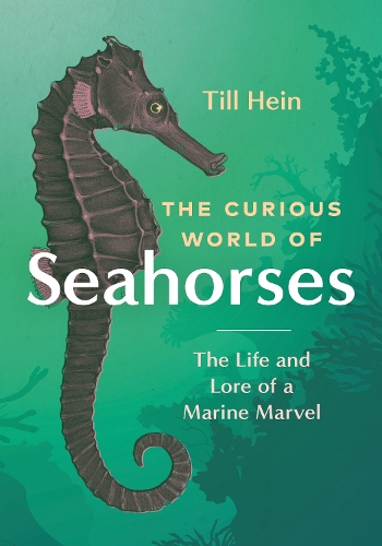 The Curious World of Seahorses: The Life and Lore of a Marine Marvel (Hardback)