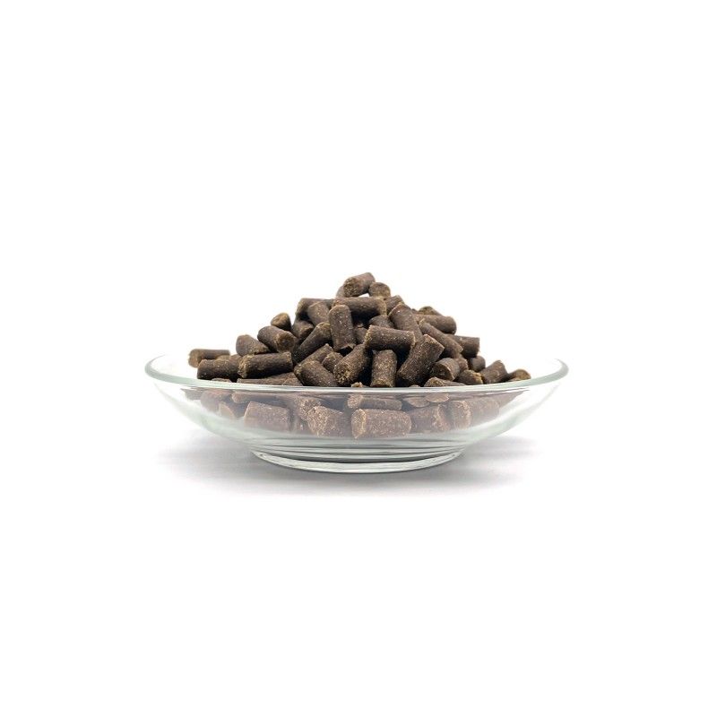 Bellfor Havaneser Futter Set für Hunde