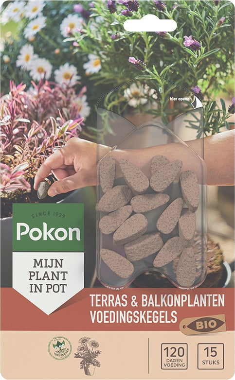 Pokon Bio Terras en Balkonplanten voeding langwerkende kegels 15 st