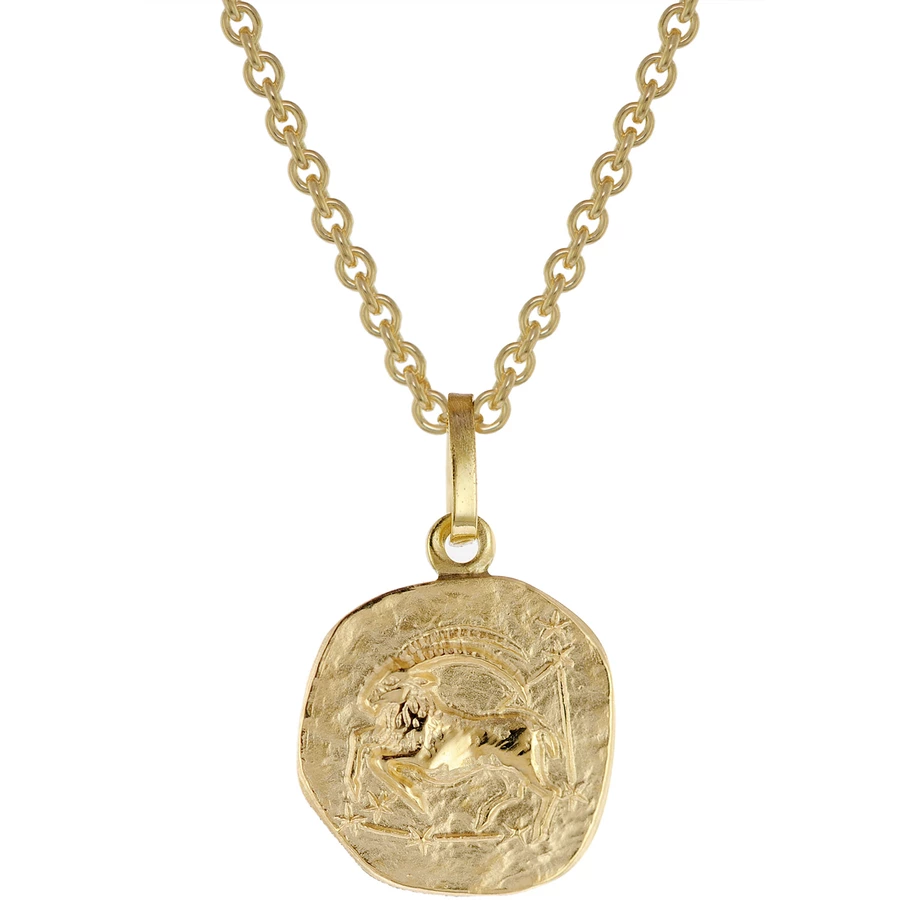 trendor Sternzeichen für Kinder Steinbock Gold 333 Anhänger + Kette gold