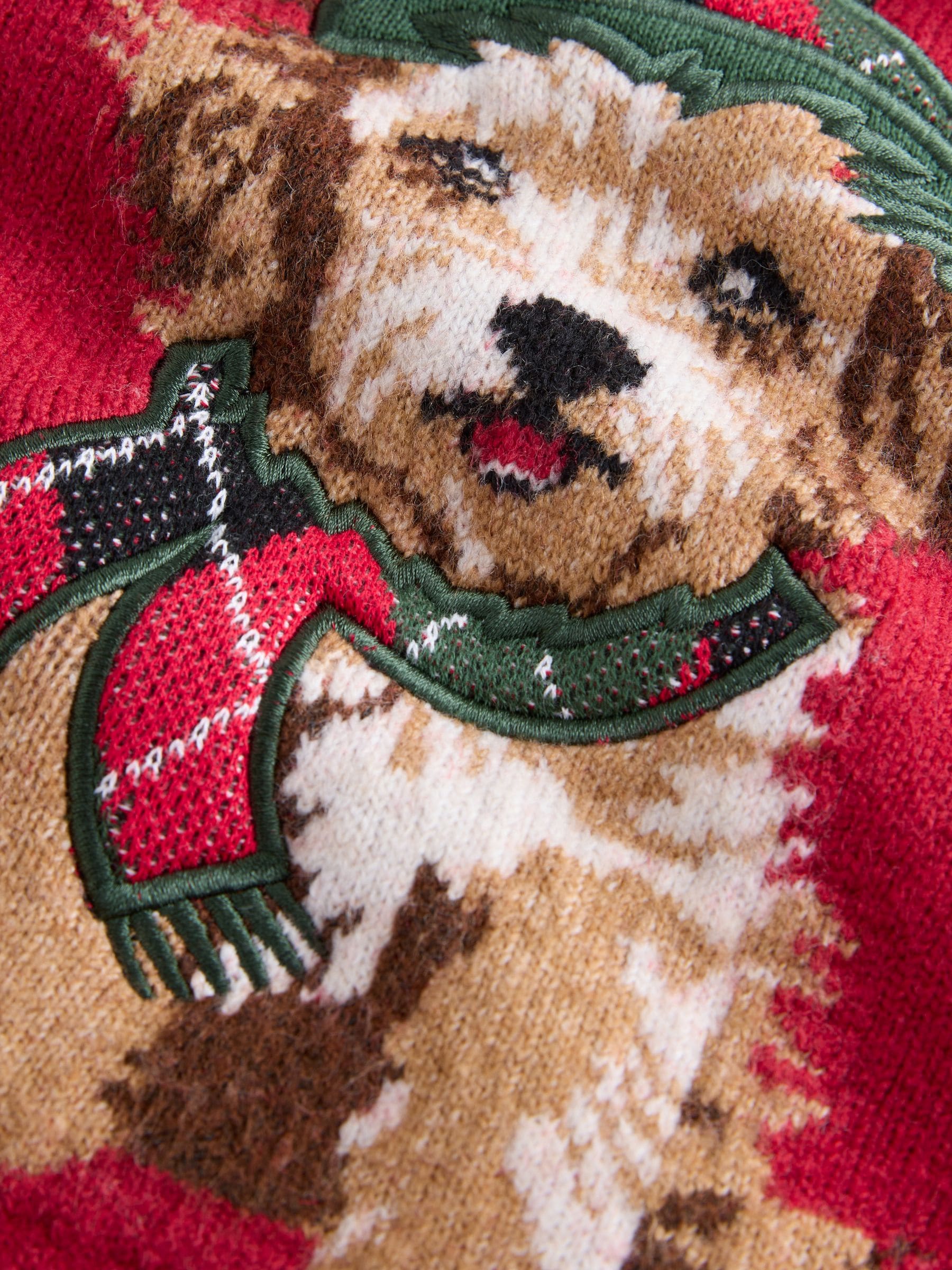 Red Dog Graphic - Matching Family Christmas Jumper (3mths-7yrs)