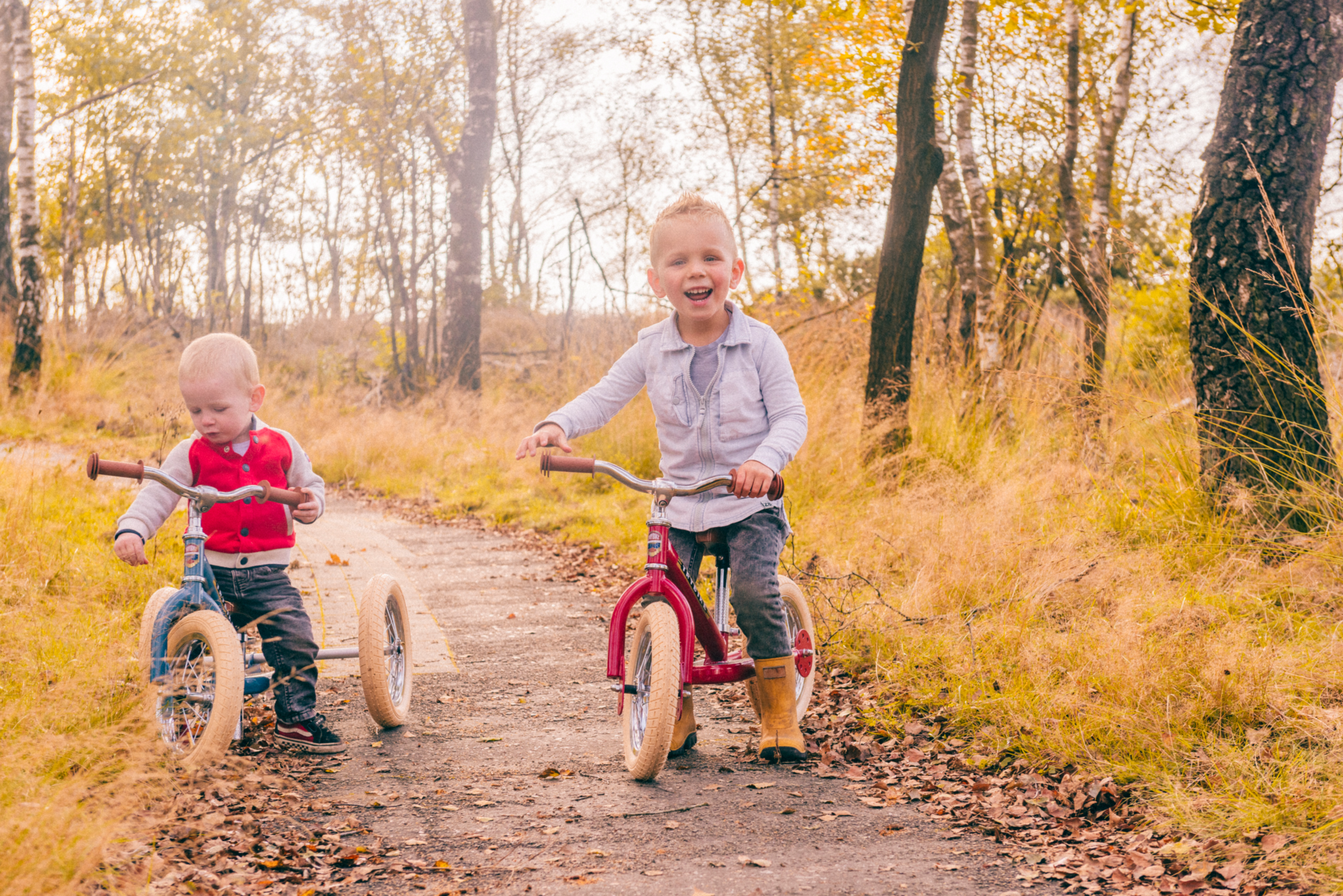 2-in-1-loopfiets Trybike set rood
