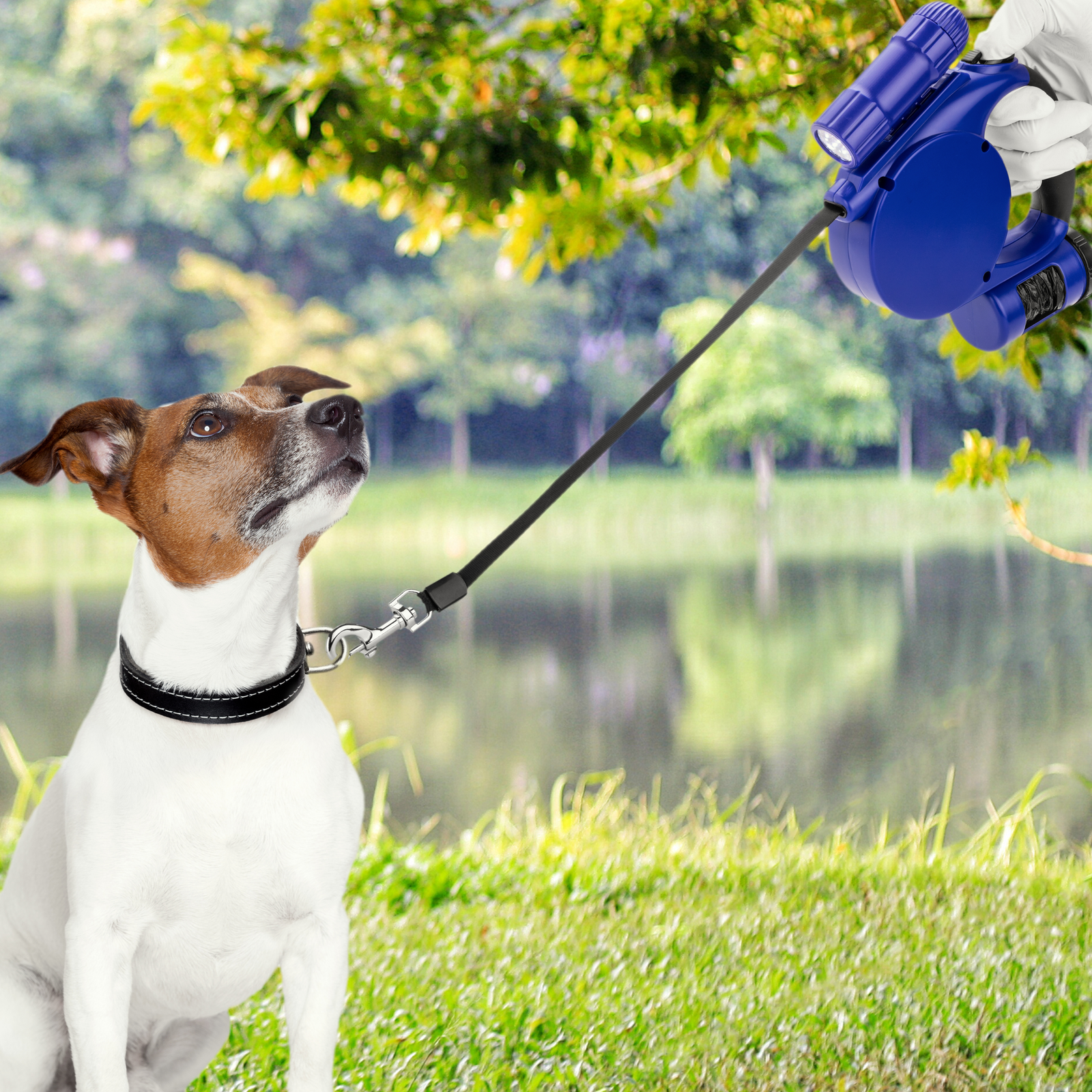 Guia extensível azul para animais de estimação com dispensador de sacos.