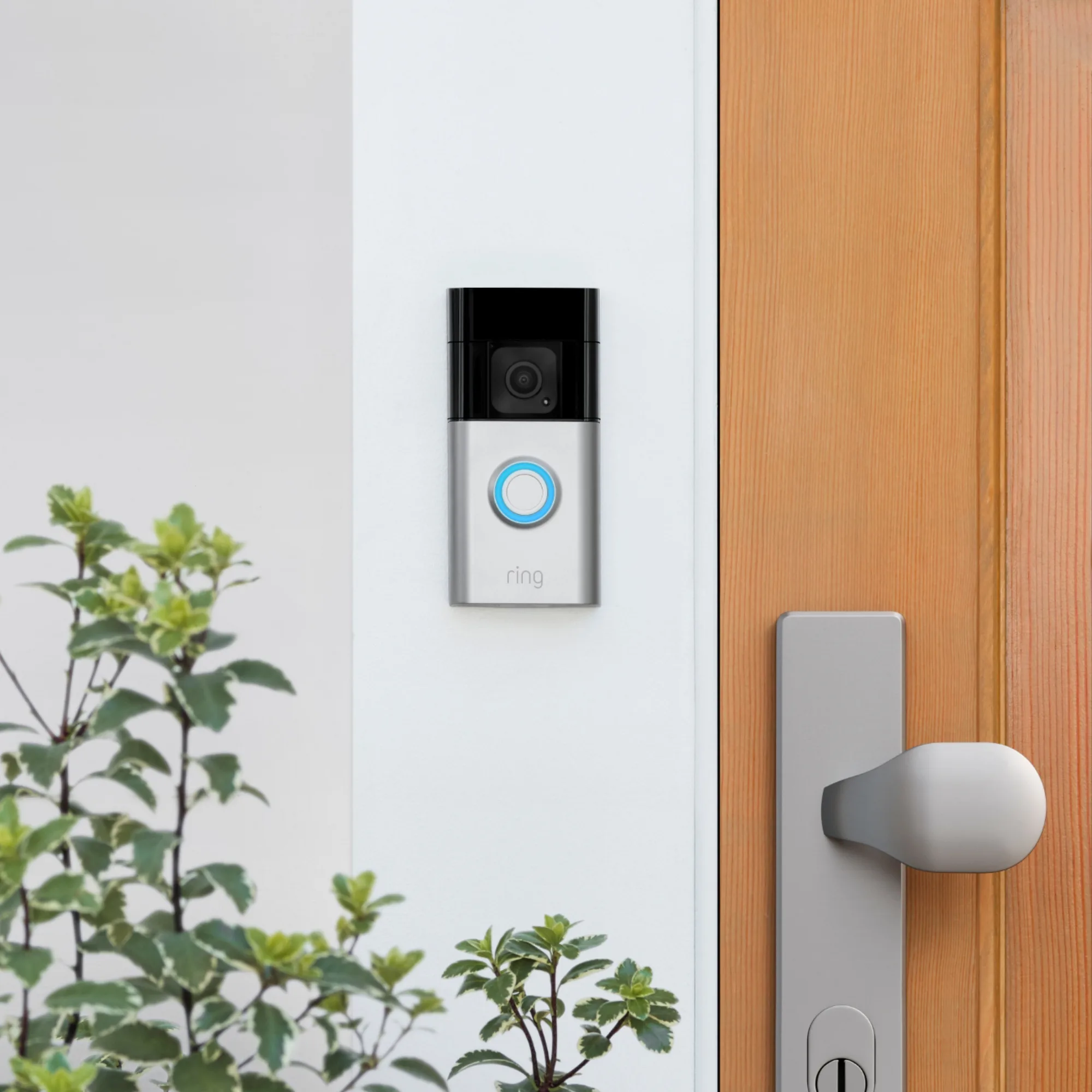 Ring Battery Video Doorbell Plus Nickel Satiné   Chime Sonnette connectée