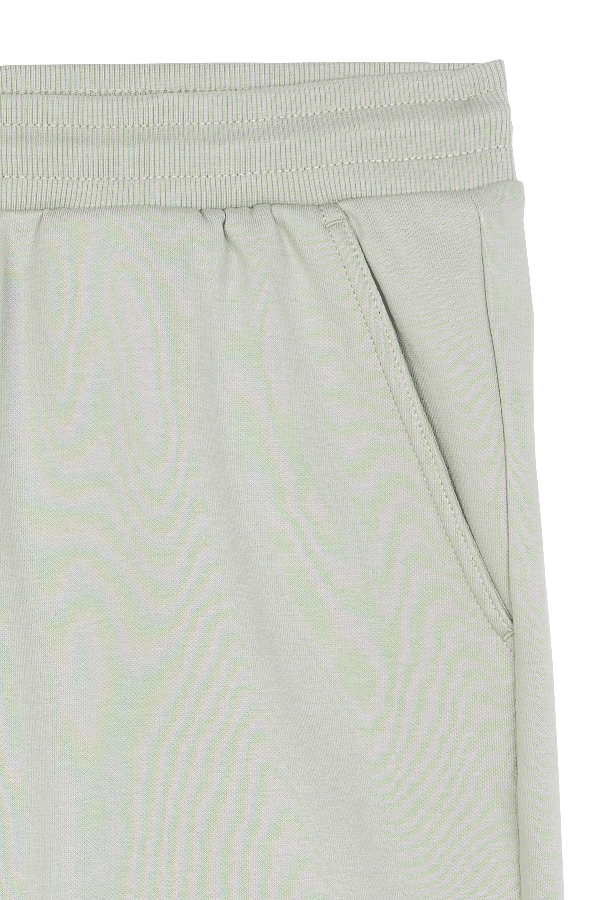 TOMMY JEANS Short TJM BEACH FLEECE SHO Vert