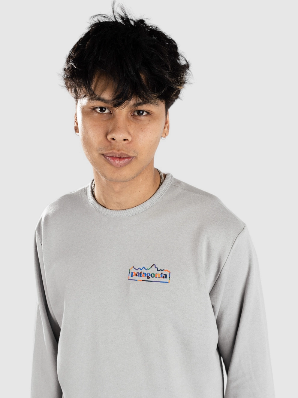 Patagonia LW Unity Fitz Wildrise Crew Sweater salt grey