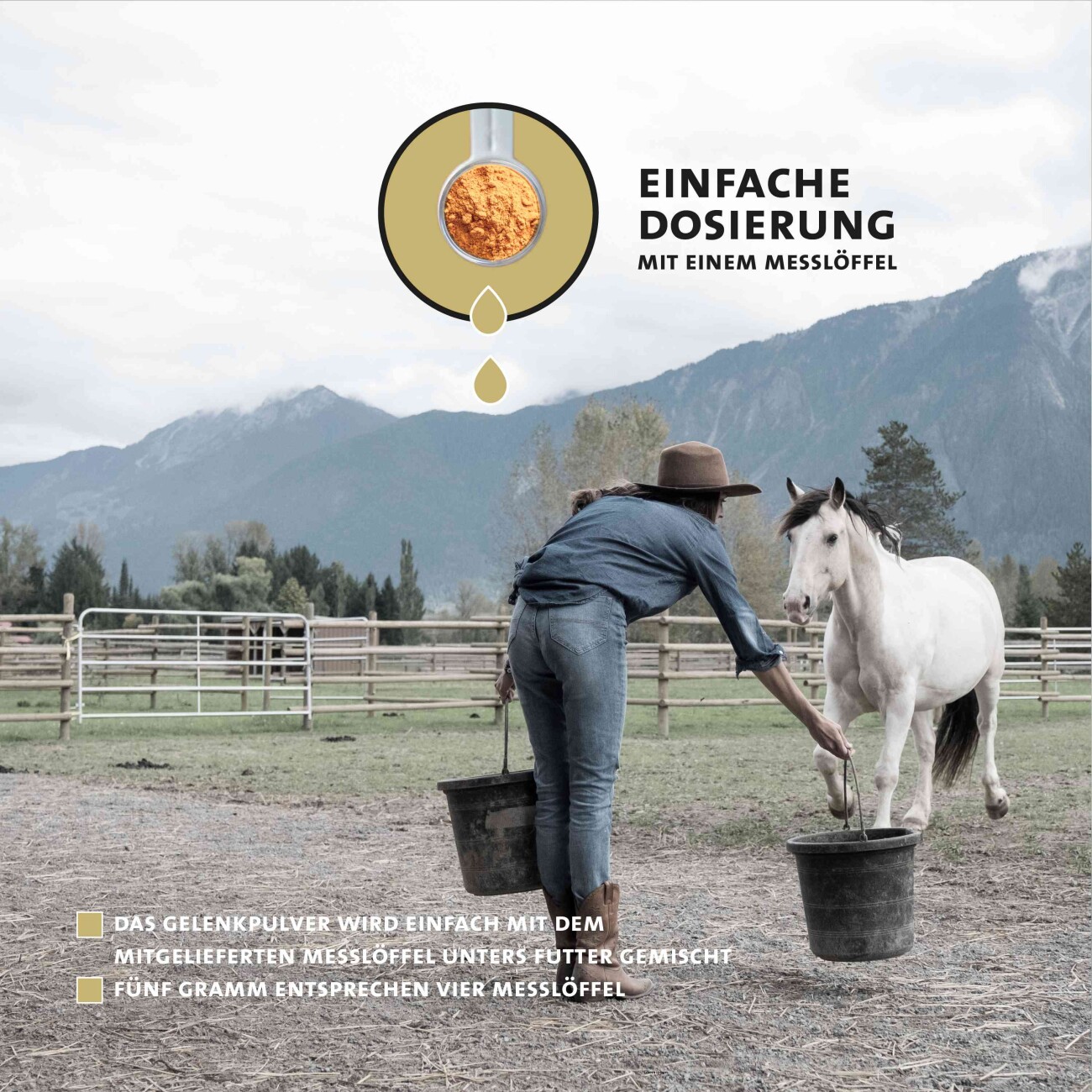 Peticare Gelenk-Kur Pulver für Pferde, unterstützt Gelenke & Sehnen, Knorpel