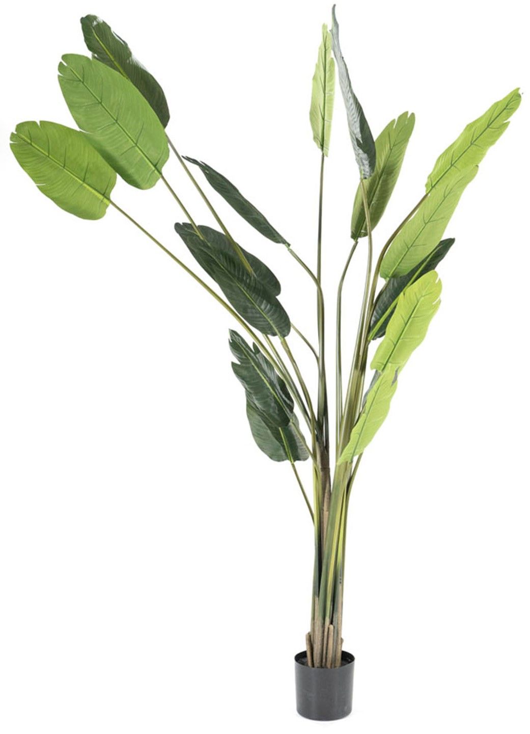 Kunstplant 403082B46 x D46 x H220 cm