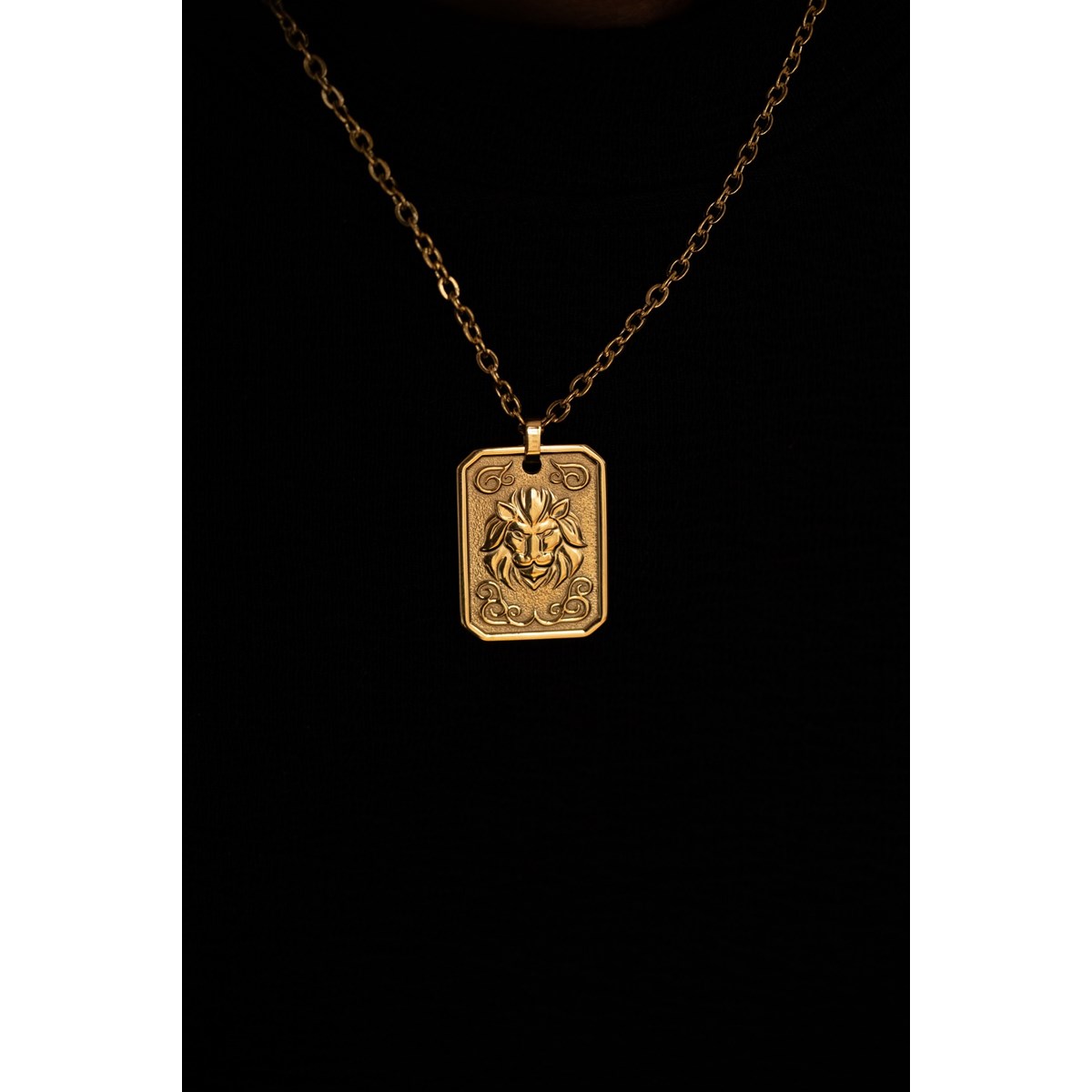 Collier Louis en Acier 316L