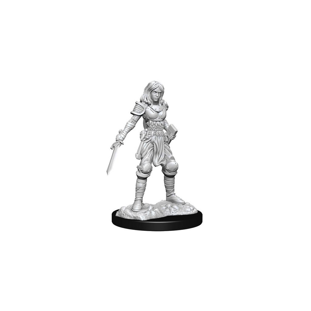 Pathfinder Deepcuts Unpainted Miniatures: Female Human Fighter