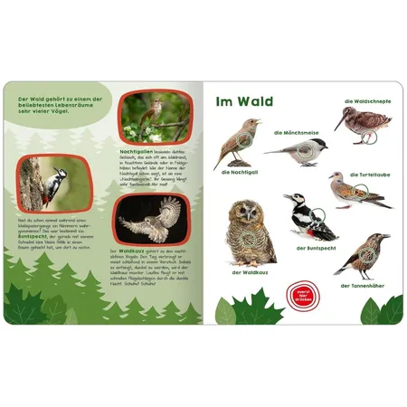 ars Edition Mein großes Buch der Vogelstimmen
