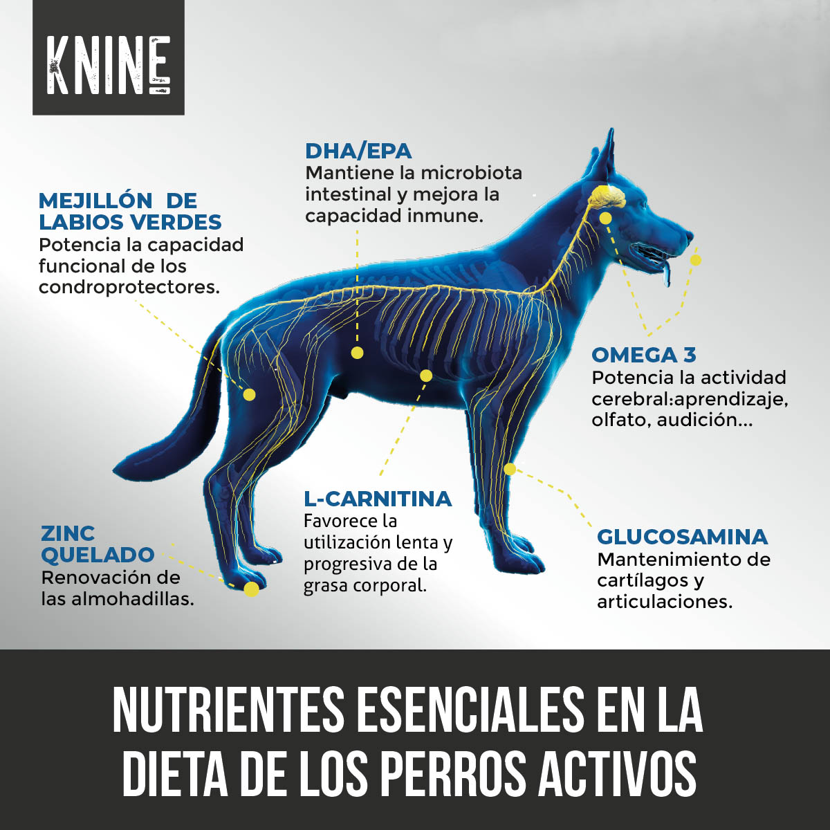 Ração para cães KNINE Extra Health, frango, sem grãos, 12 kg.
