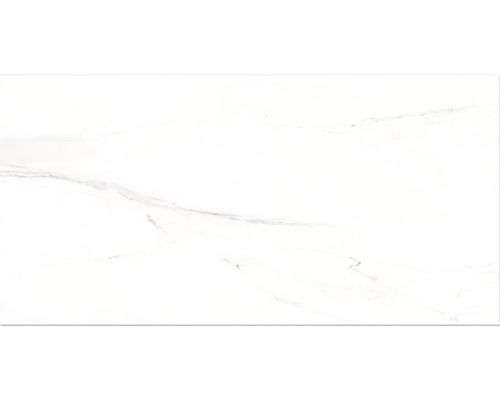 Porseleinen wand- en vloertegel Premium Calacatta wit 60 x 120 x 0,9 cm glanzend gerectificeerd