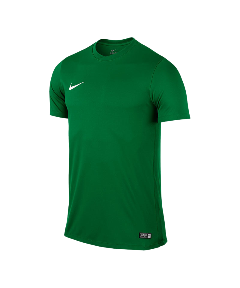 Nike Park VI Trikot kurzarm Kids Grün F302