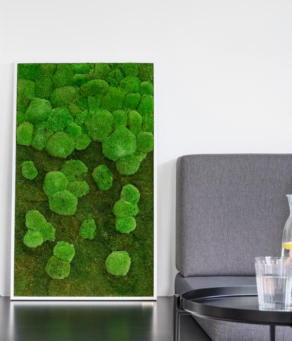 styleGREEN Bild aus Wald- und Kugelmoos im