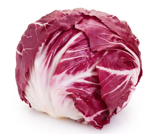 Radicchio, 1 Stk.