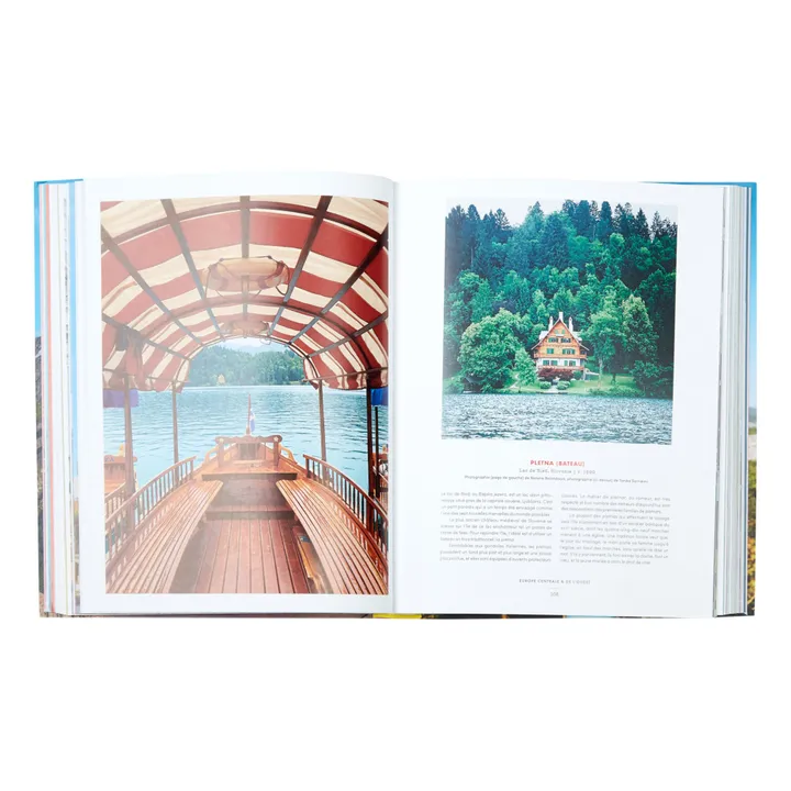 Hachette Accidentally Wes Anderson - FR