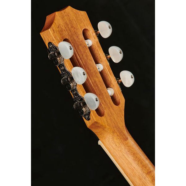 Taylor 814ce-N