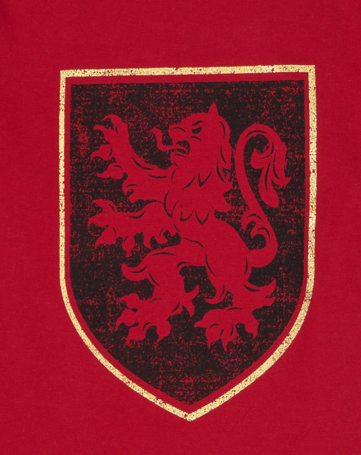 Langarmshirt HARRY POTTER - GRYFFINDOR in scooter
