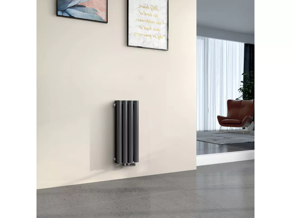 EMKE Radiateur eau chaude en acier Tube Rond Radiateur Mural Anthracite 60x24cm 248W Double Couche