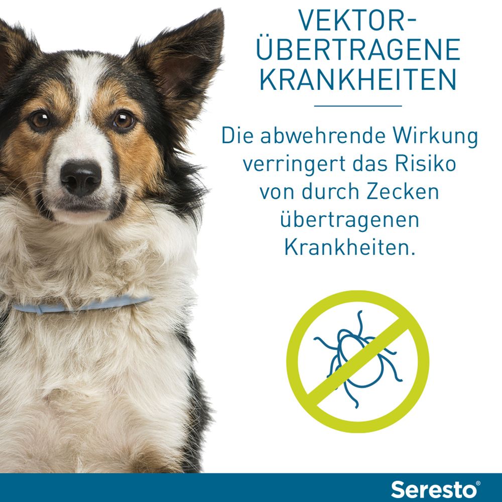 Seresto® Halsband für große Hunde ab 8 kg