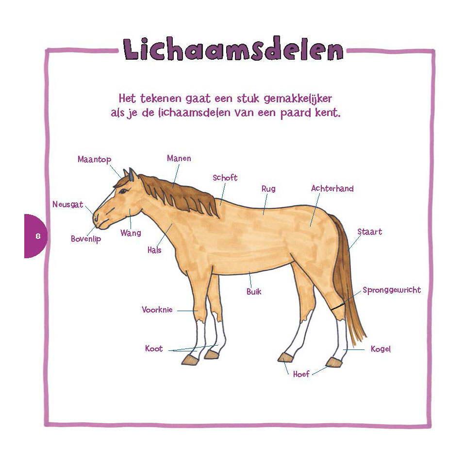 Ik Leer Paarden Tekenen