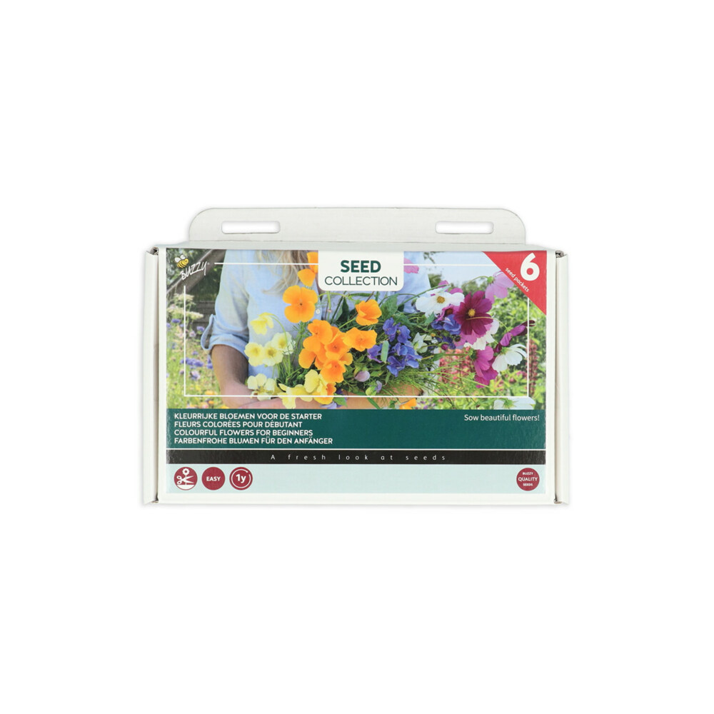 Buzzy Collection Kweekset 6 Kleurrijke Bloemen Voor De Starter1 set
