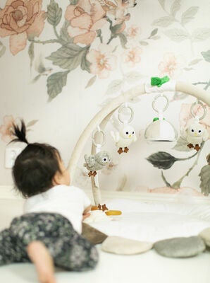Rätt Start Baby Owls Babygym