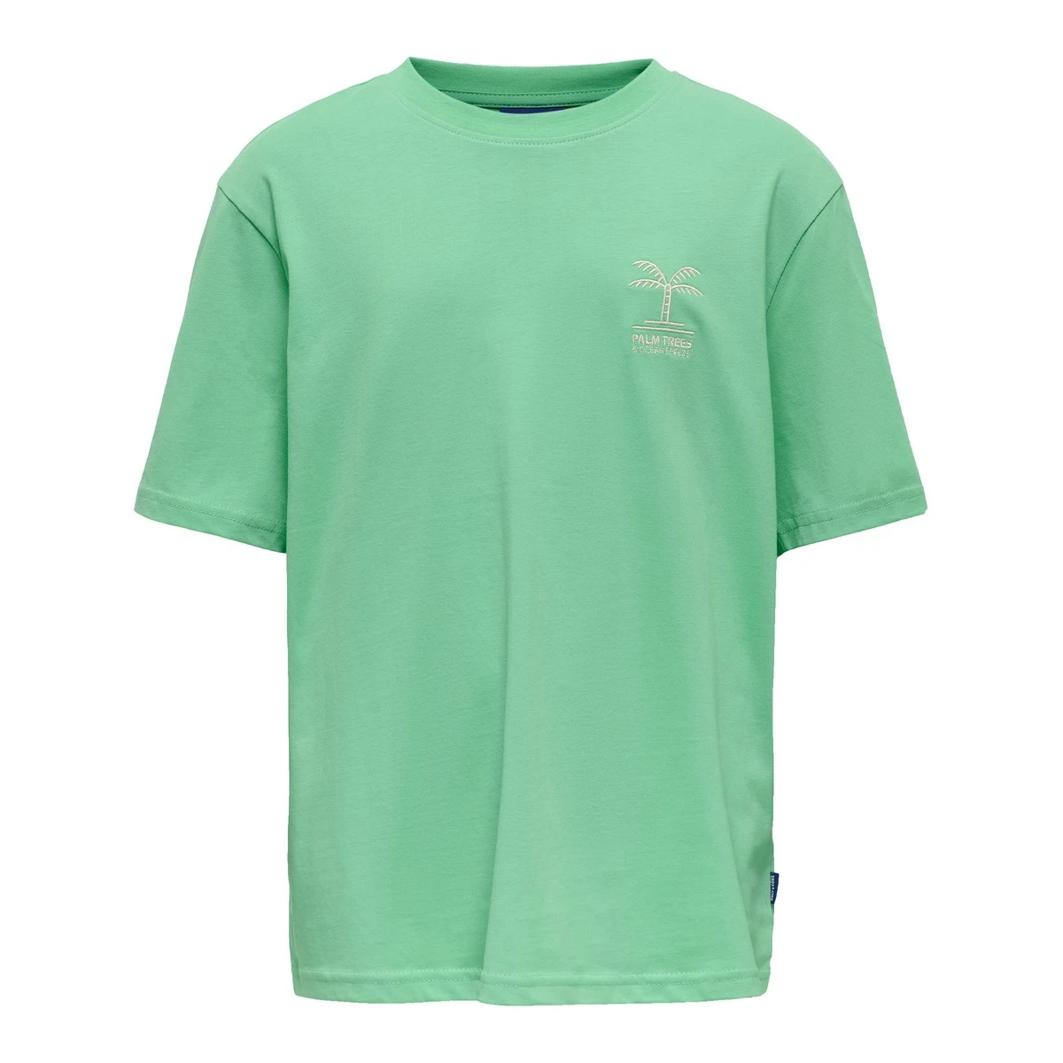 Jongens T-shirt R125KBN30007 Harton