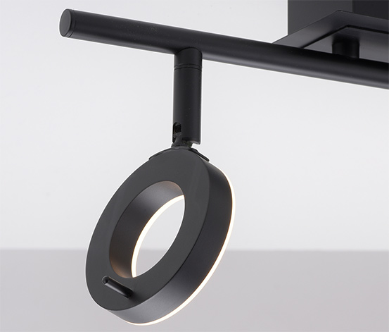 Paul Neuhaus LED-Deckenleuchte »Sileda«, klein