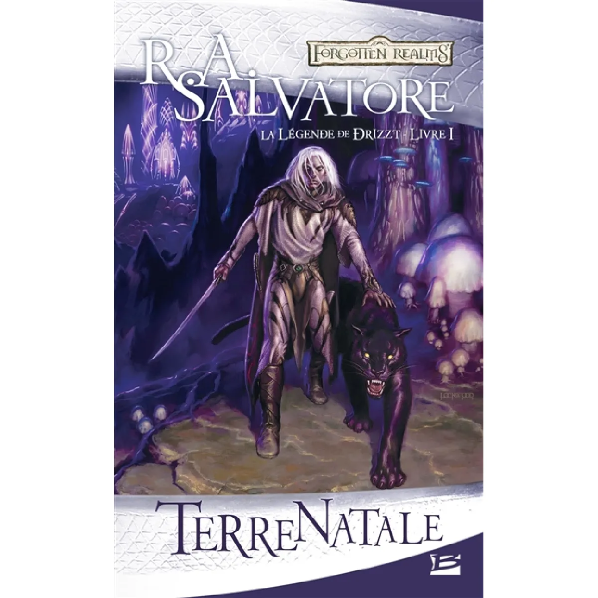 La légende de Drizzt. Vol. 1. Terre natale · Occasion
