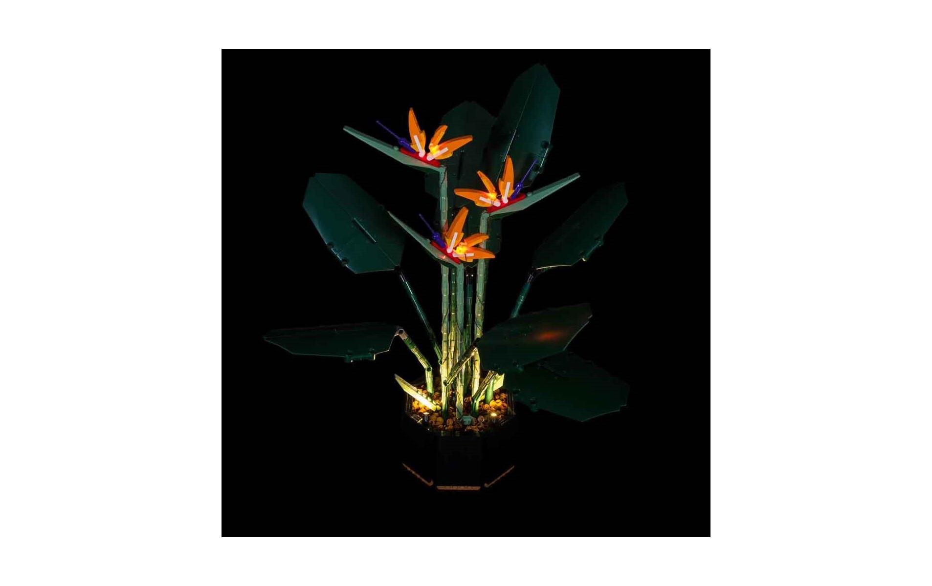 LED-Licht-Set für LEGO® Paradiesvogelblume 10289Light-Kit