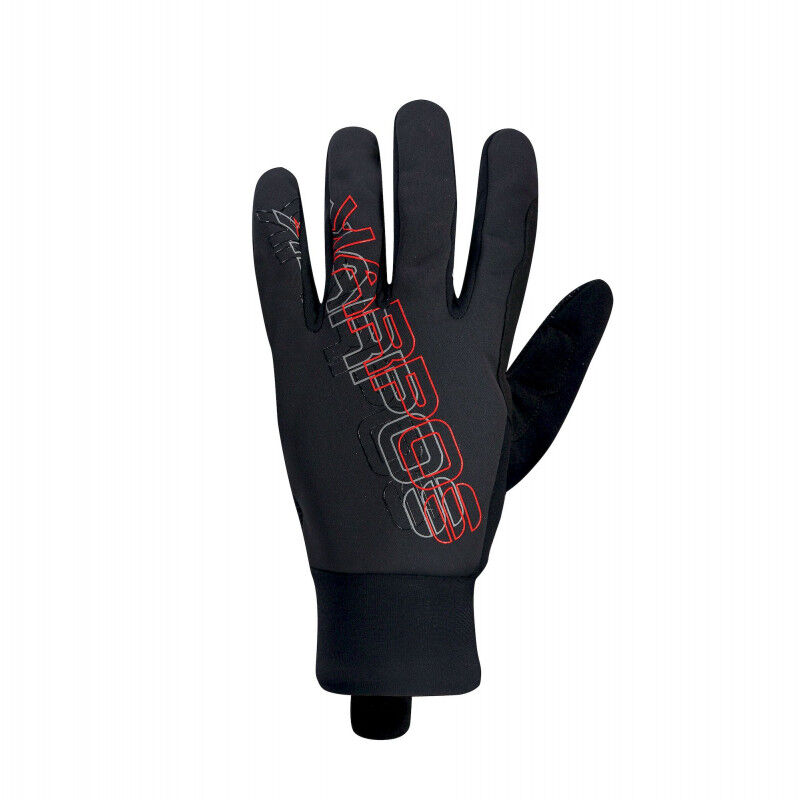 Race Glove - Gants ski homme