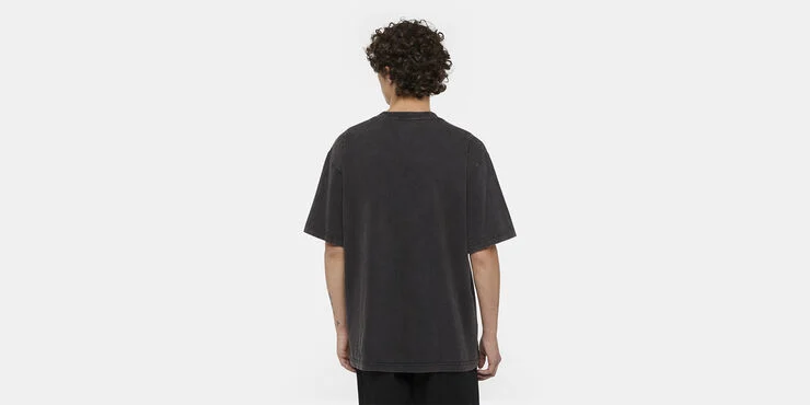 Dickies PLENTYWOOD TEE SS DBLE DYE/ACID WAS Dble dye/acd bl