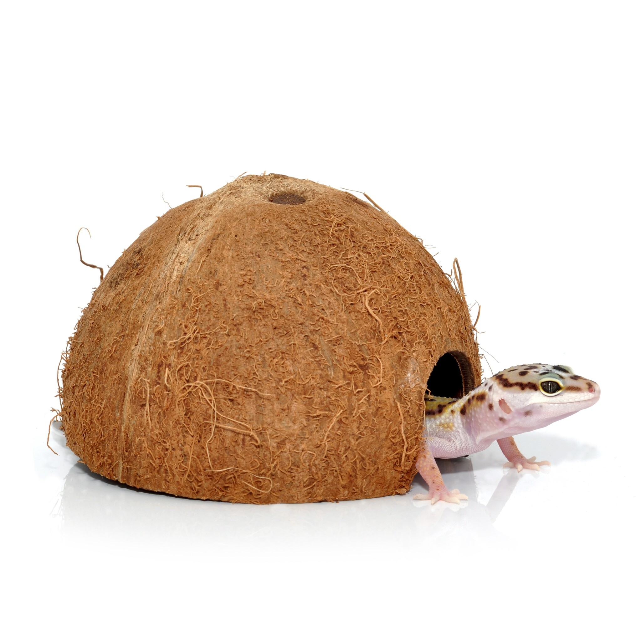 Habistat Terrarium Kokosnootgrot Schuiplaats