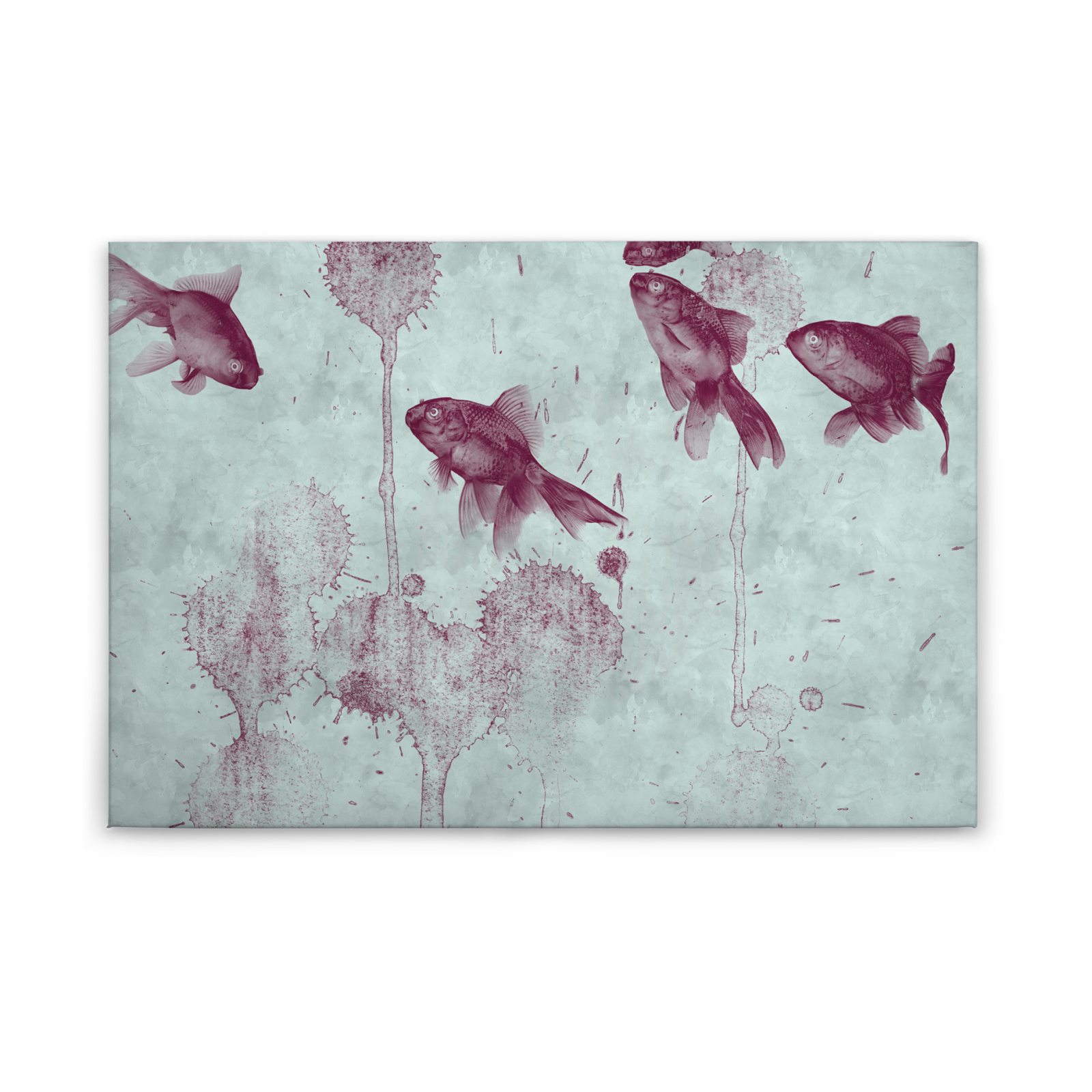 Leinwandbild FISCHE - türkis-rot - 90x60 cm