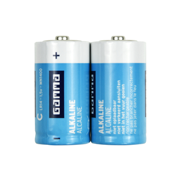 GAMMA Batterij Alkaline C 2 stuks
