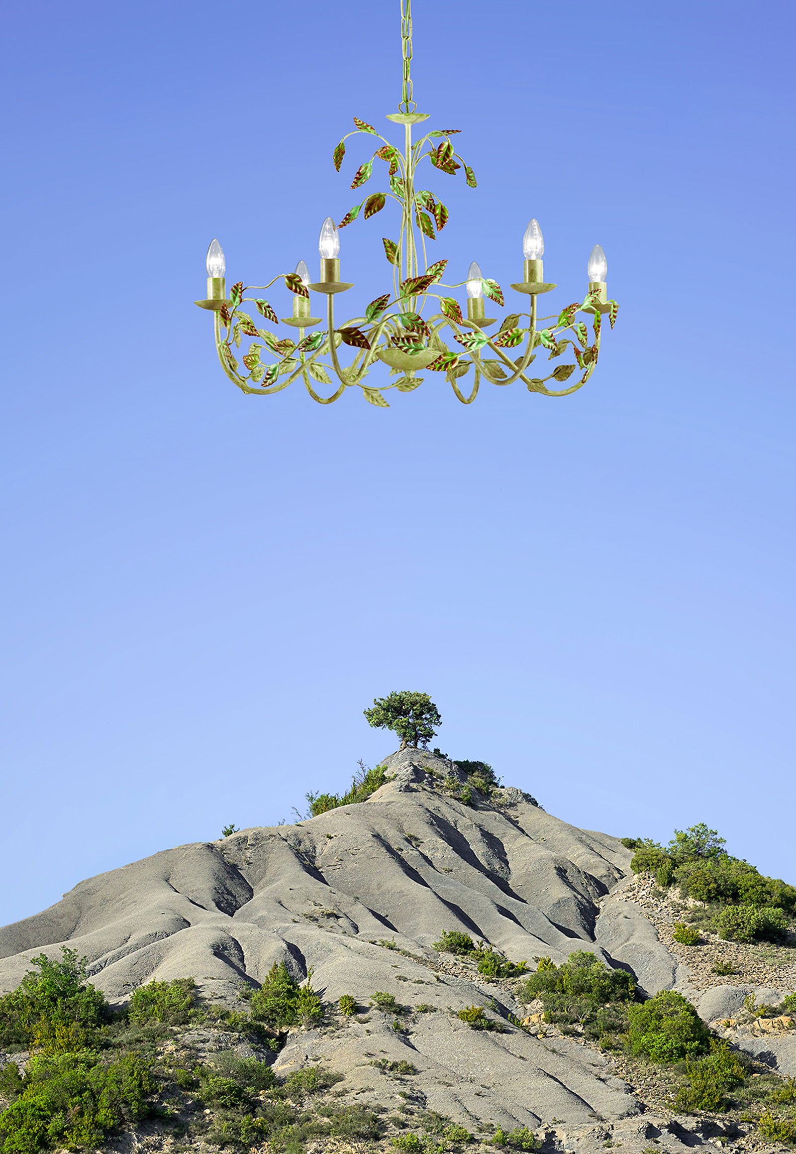 The Tree, Pyrenees  by Ciuco Gutiérrez - Limited Edition. Edition of: 150. Signed.