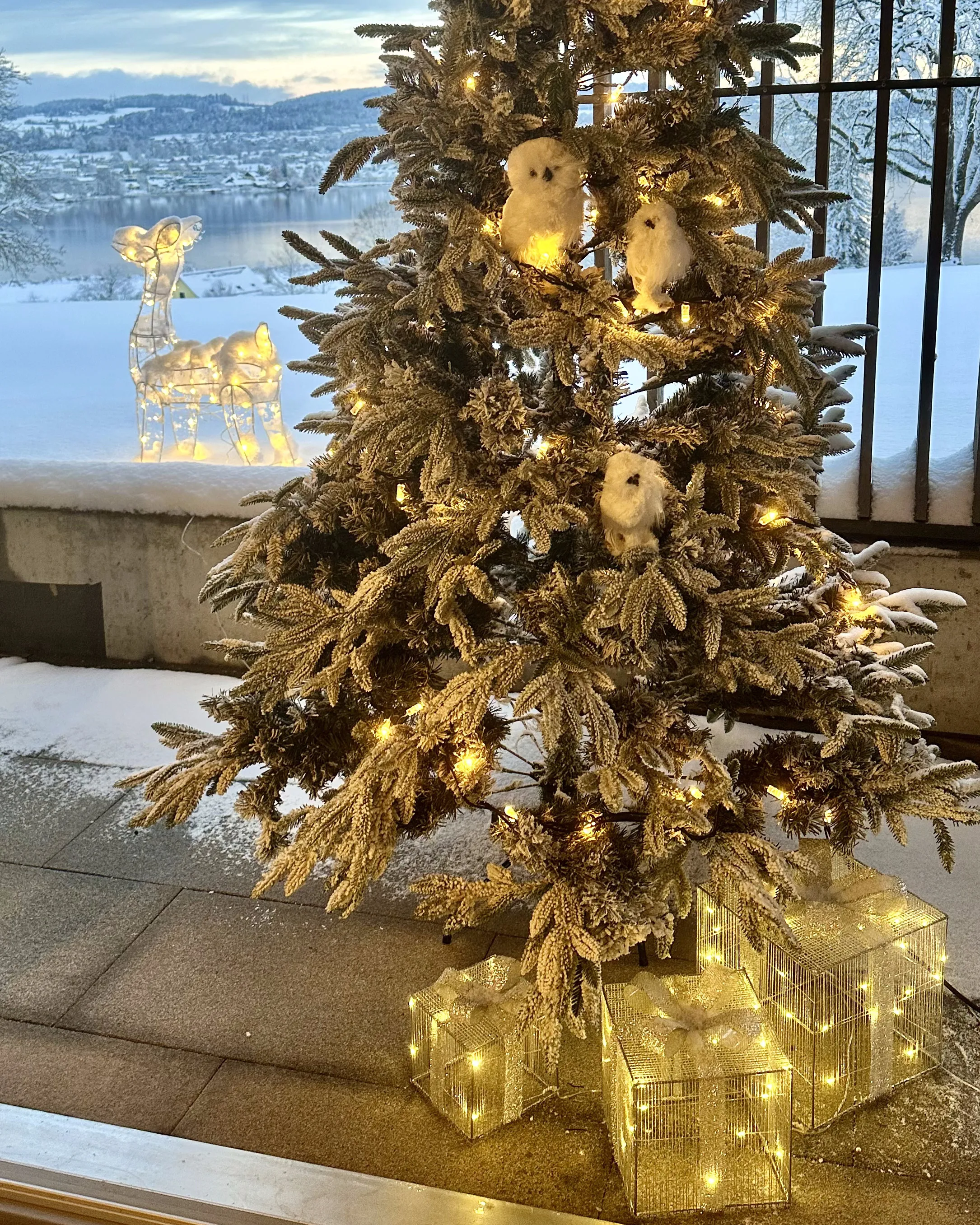 Buitendecoratie LED ARNES Kerstcadeaus 25/20/15 cm Zilver
