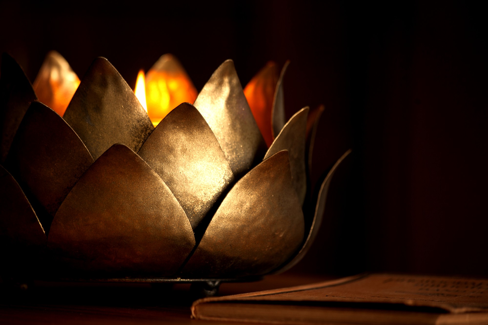 Windlicht 'Lotus', antik gold, Ø 24,5 cm, H 13 cm von fischer's lagerhaus