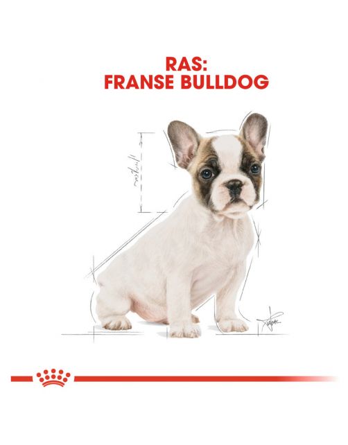 Royal Canin French Bulldog - Puppy-Hondenvoer