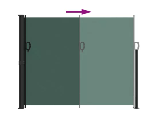 Auvent latéral rétractable vert foncé 160x500 cm
