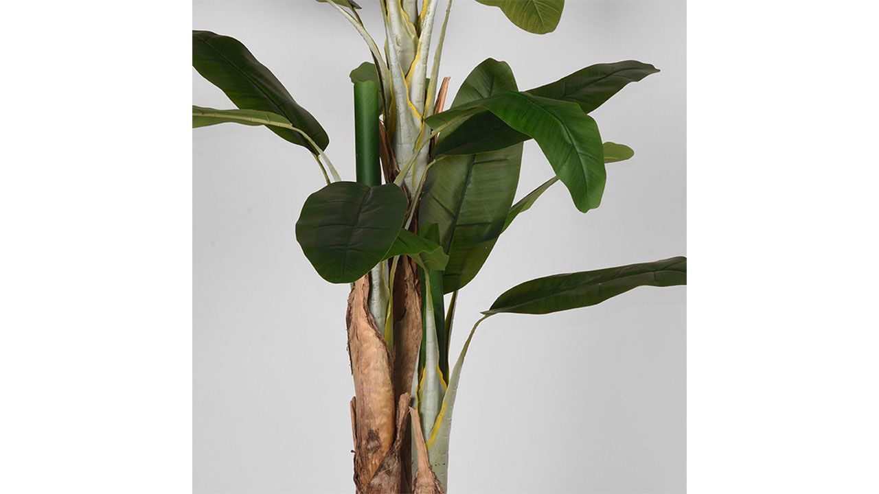 Kunstplant Musa DS-54.003B110 x D110 x H180 cm