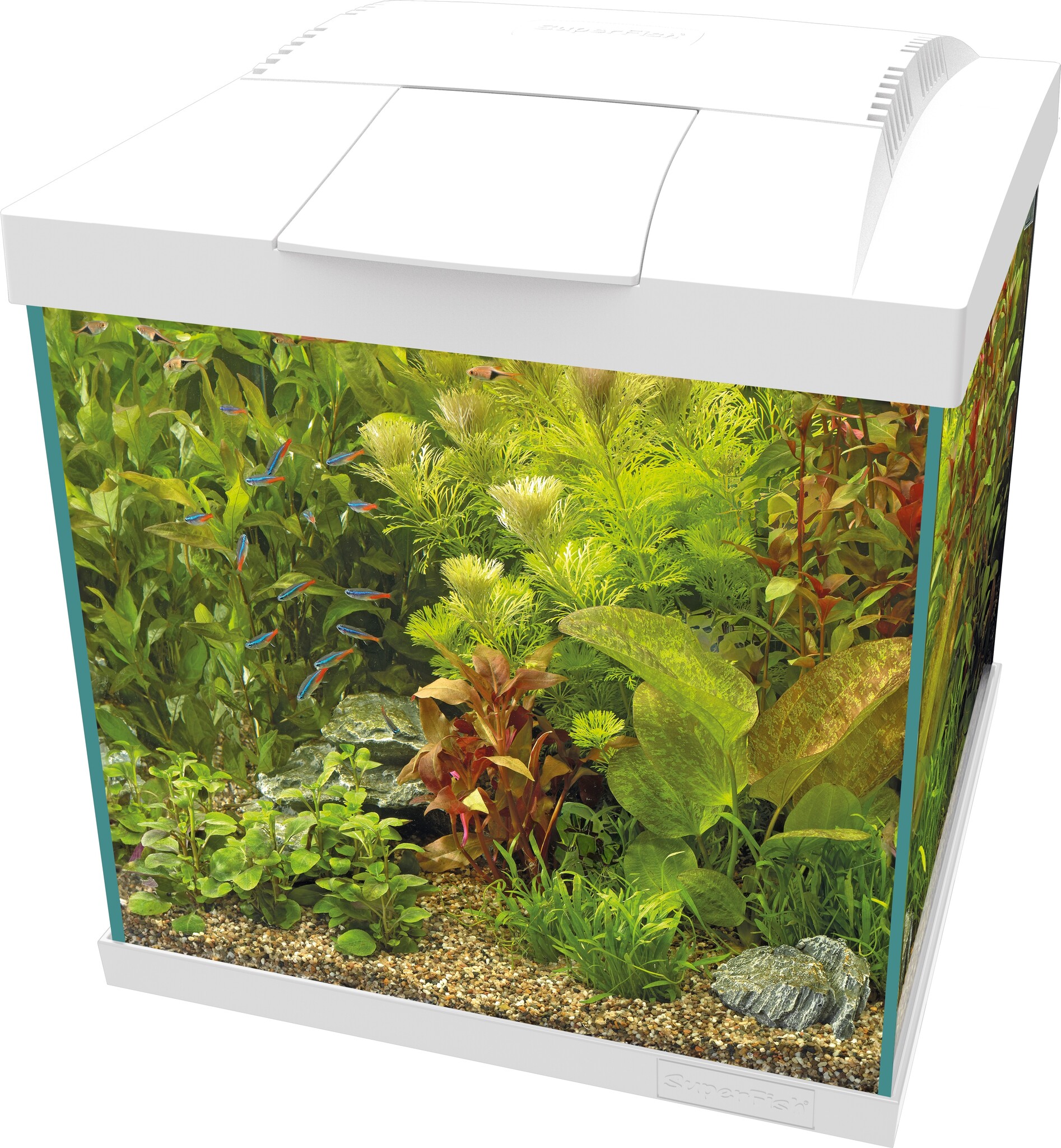 Start 30 Qube Kit Wit