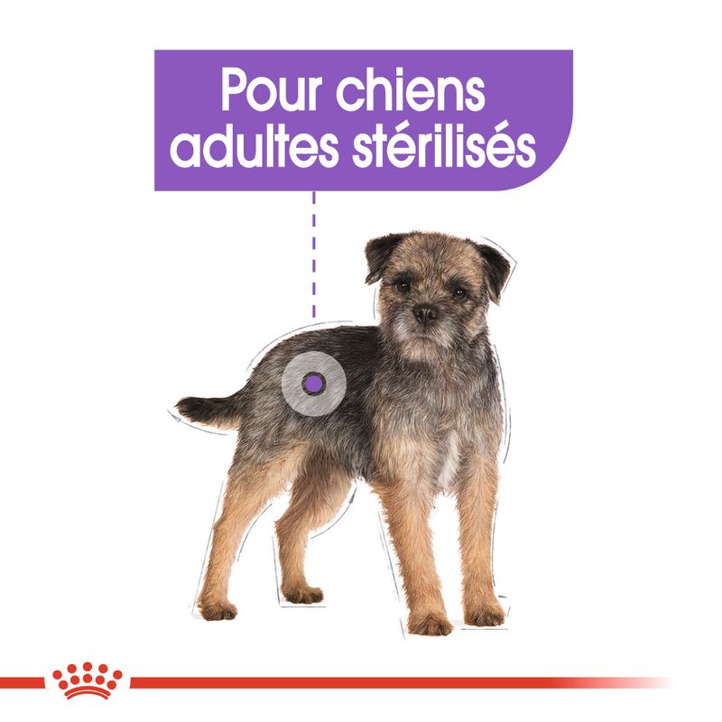 Royal Canin Sterilised en mousse